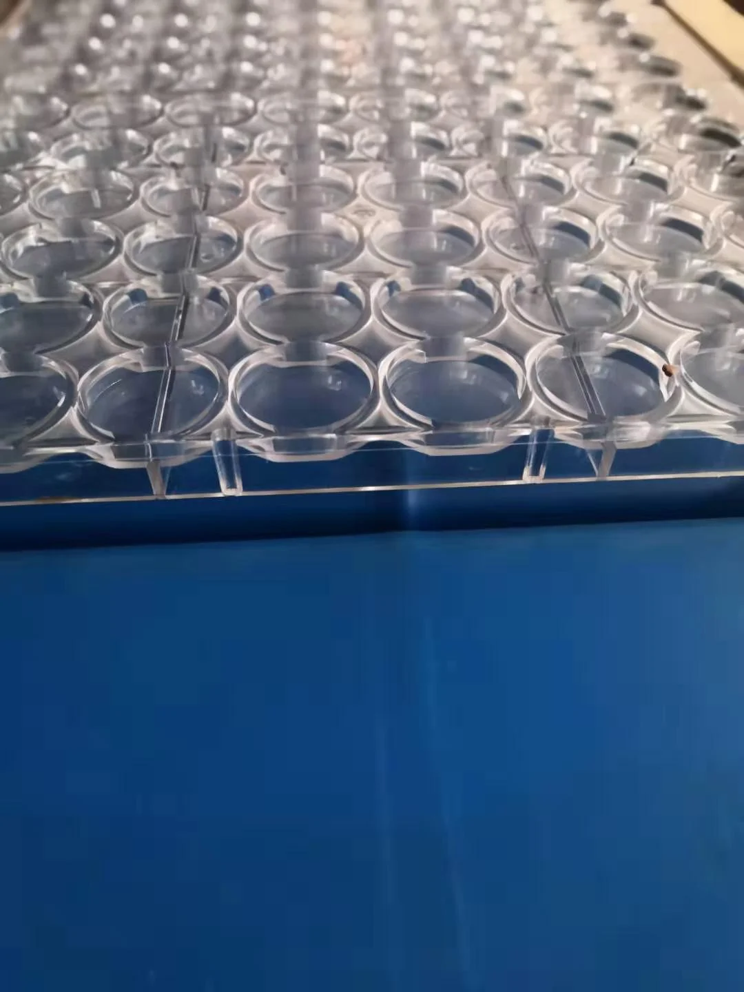Customized Certificated High Quality Polycarbonate Chocolate Molds