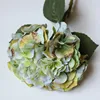 Gradient green #3