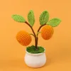 (type d) persimmon ruyi potted plant
