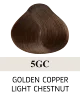 5GC Golden Copper Light Chestnut