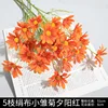 1 tissu de soie petite marguerite coucher de soleil rouge