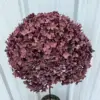 SKU-14