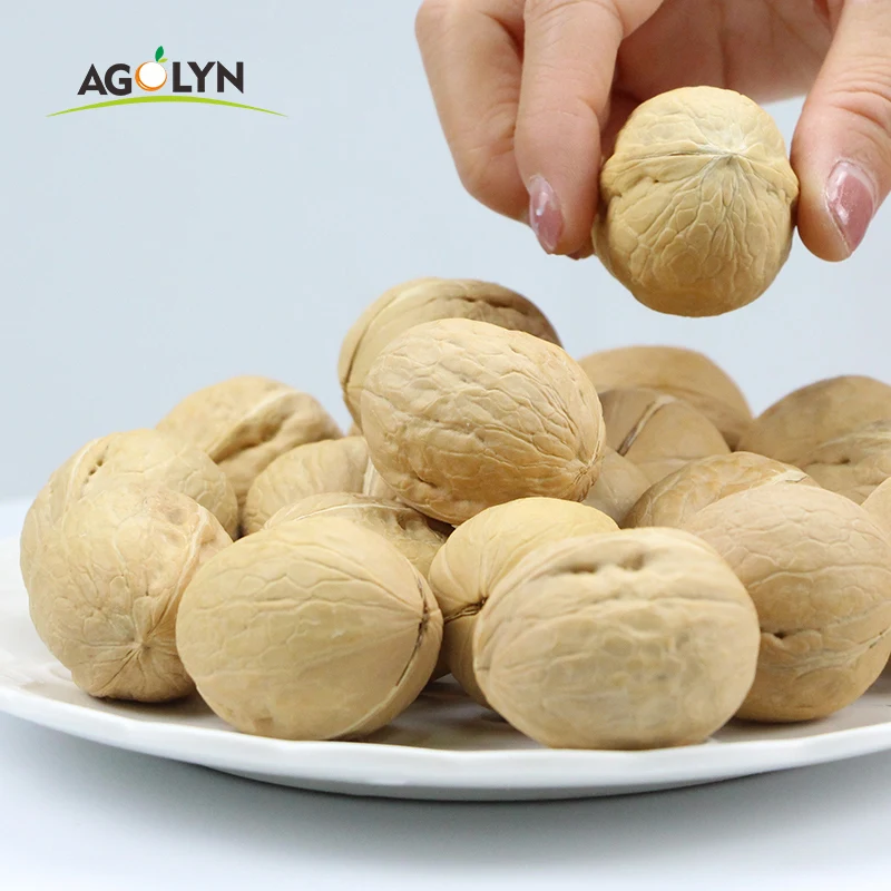 AGOLYN Chinese wholesale raw bulk XinJiang walnut in shell