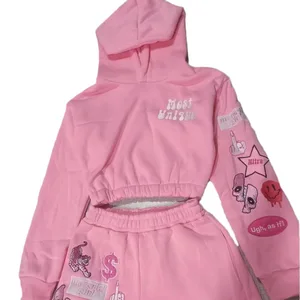 Manufacture Custom pink 2 Pieces Heavyweight Hoodie Set Oversized Plus Size Long Sleeve Tracksuits for Women