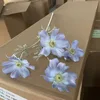 Bleu clair