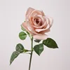 Rosa otoño