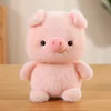 Piggy