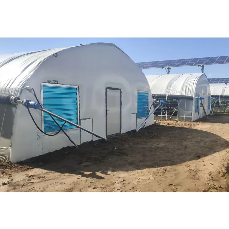 Straw Mushroom Cultivation Greenhouse Stable Greenhouse for White Button Mushroom Growing Agricultural Greenhouse