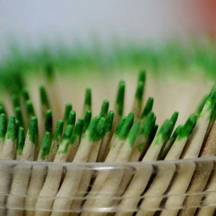 Factory Price Free Sample Disposable Bamboo Custom Toothpicks for Teeth Cleaning with Mint Taste Eco-Friendly