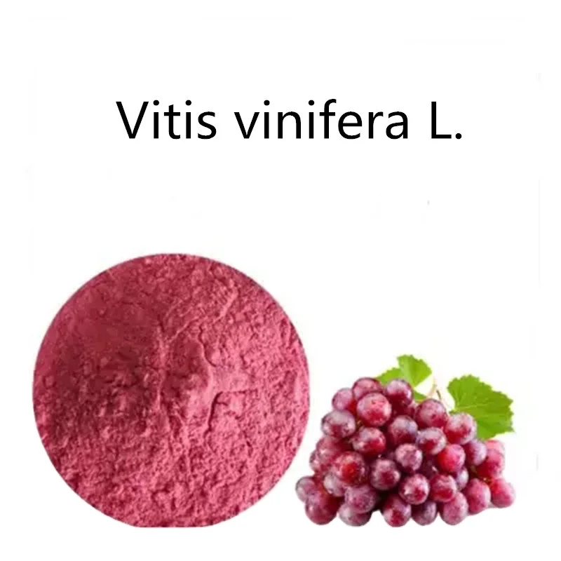 Vitis vinifera seed. Vitis vinifera Seed Oil 50мл. Vitis vinifera Seed Oil 50. Vitis vinifera Seed Oil. Viva CA vinifera.