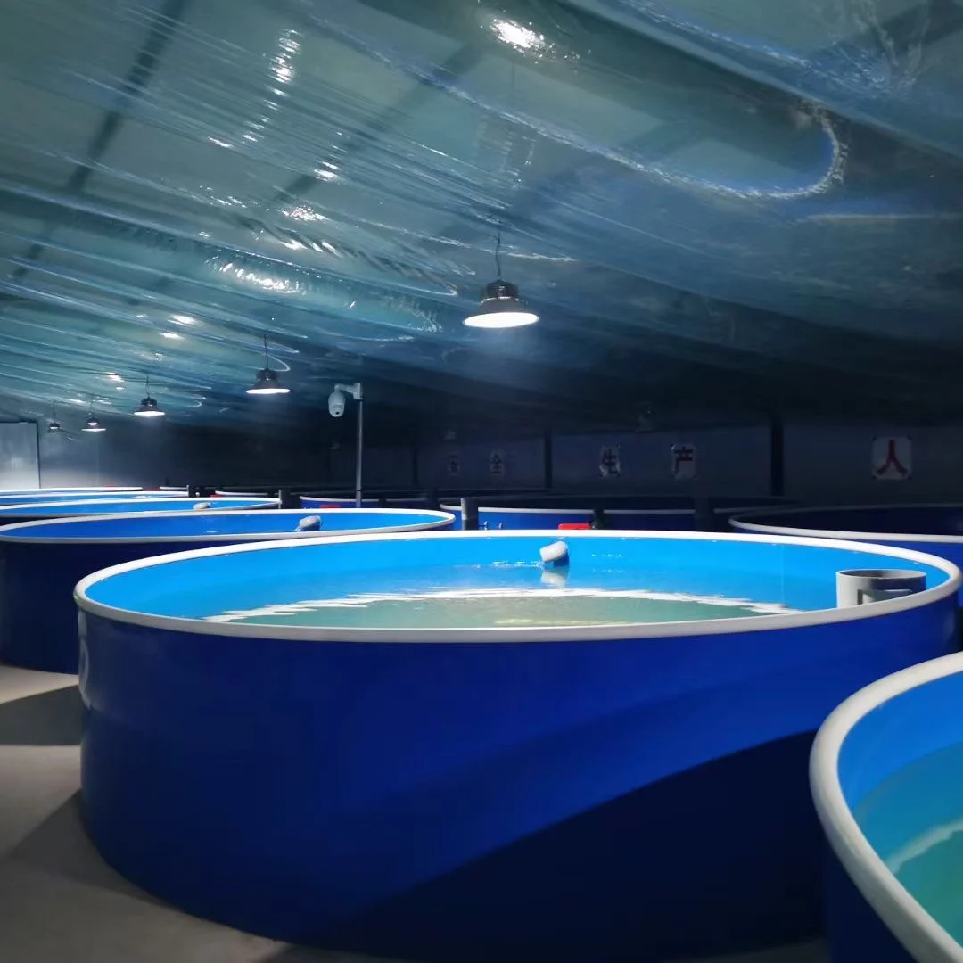 California Sea Bass Aquaculture Equipment,Ras Fish Farming For Sea Bass