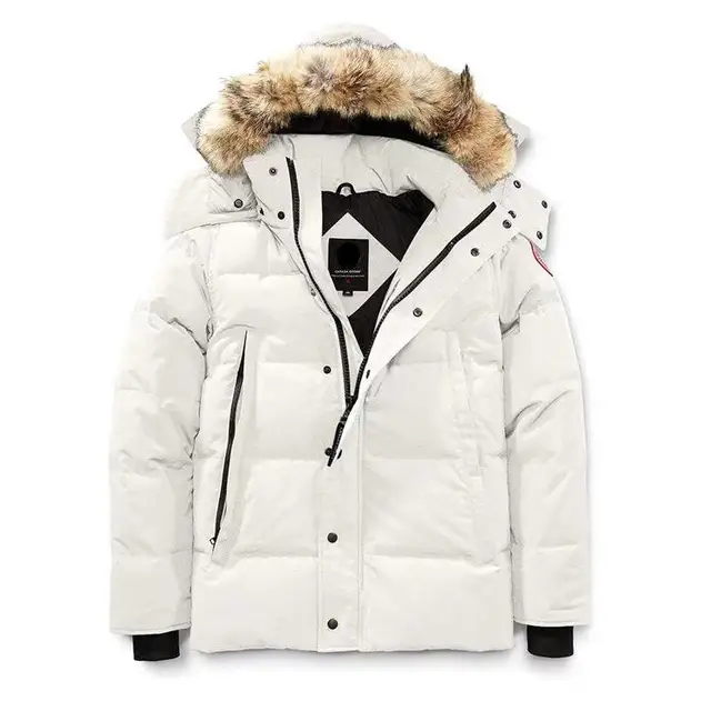 Outdoor Winter Hoodie Down Jacket Wholesale Custom Mens Puffer Jacket For Men Stylish