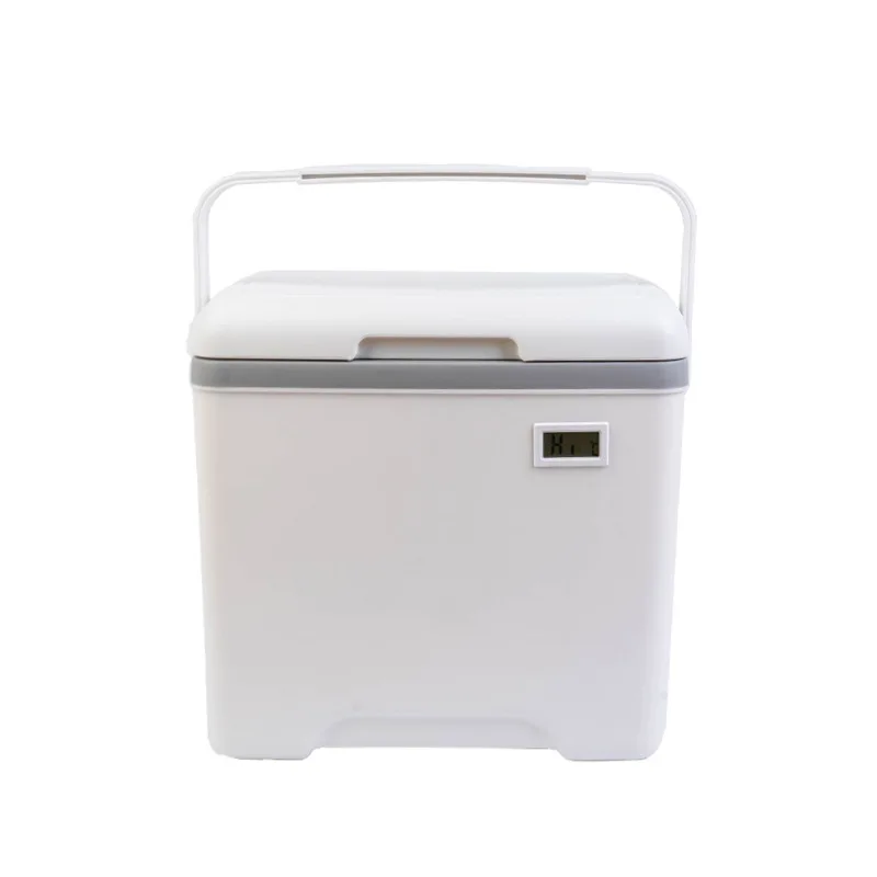 Frozen Storage Control Temperature Cooler Boxes Ice Cream Delivery Box Insulation Box