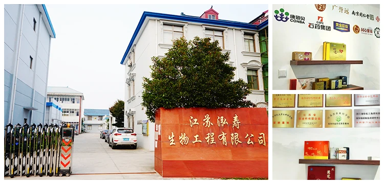 Shellbroken Herbal Lingzhi Ganoderma Spore Powder Plant Extract