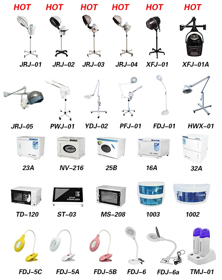 hair steamer.jpg