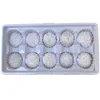pompon chrysanthemum  10pcs/box