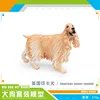 PL127-1543 American Cocker Spaniel 270g