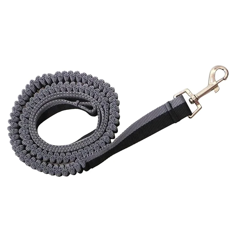 China Wholesale Heavy Duty Dog Bungee Leash Buy Dog Bungee Leash,Dog