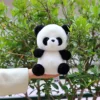 Little cute panda-bare body style