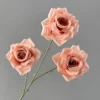 สีน้ำตาลอ่อน