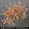 Branche de fleur de colza rose