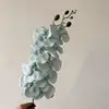 11-verde menta