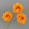 สีส้ม
