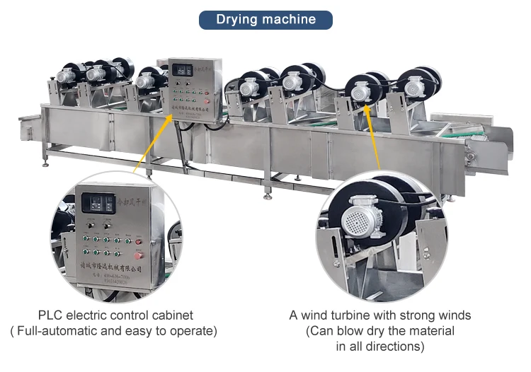 Fruit and Vegetable Sterilizer details