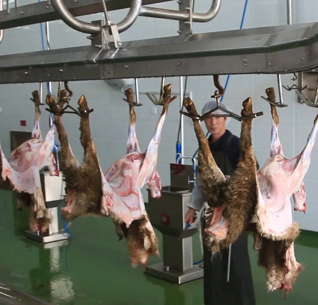 3200 sheep slaughterhouse equipment mutton slaughtering machine slaughterhouse production line