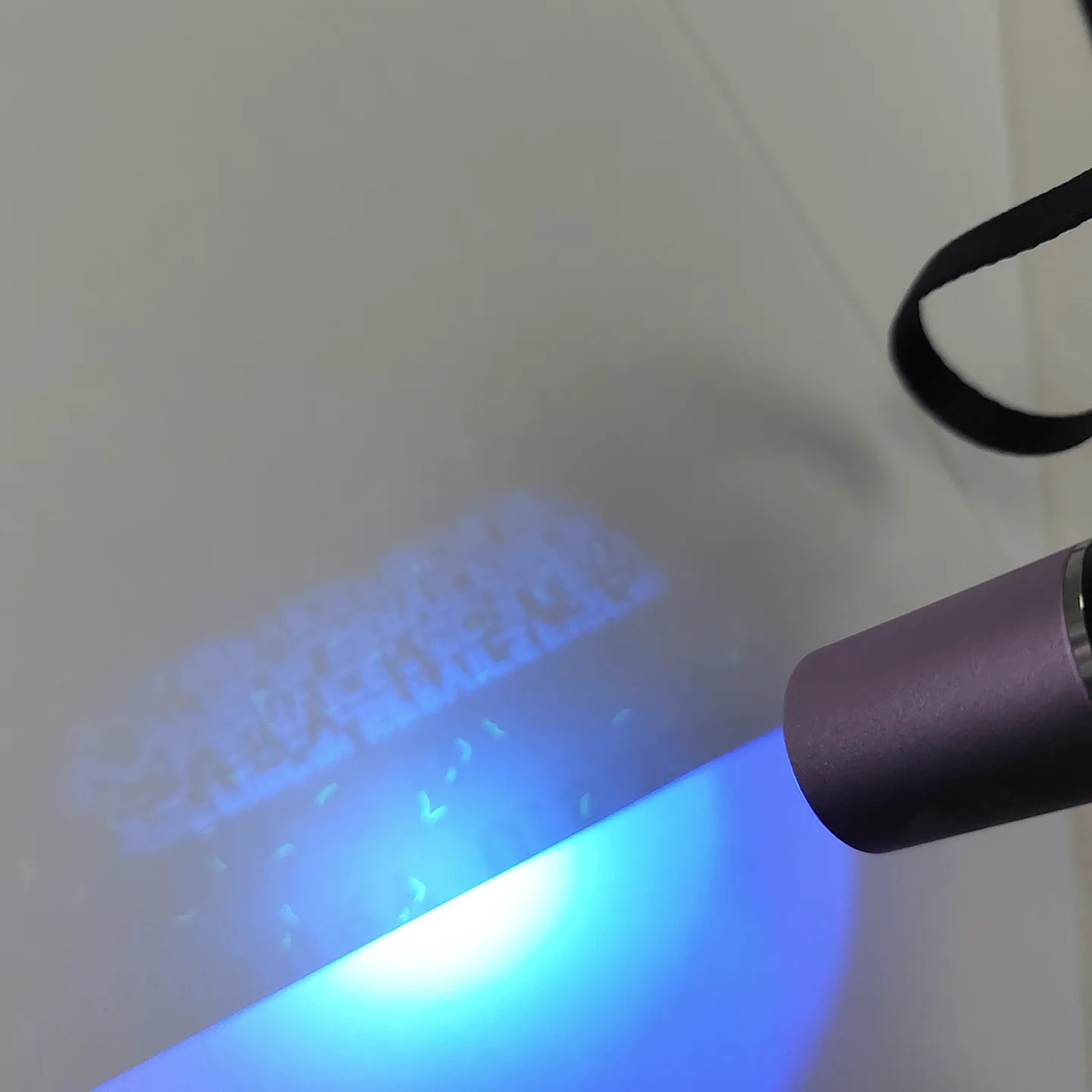 Ultraviolet Flashlight Portable Uv Test Light For Uv Invisible Ink ...