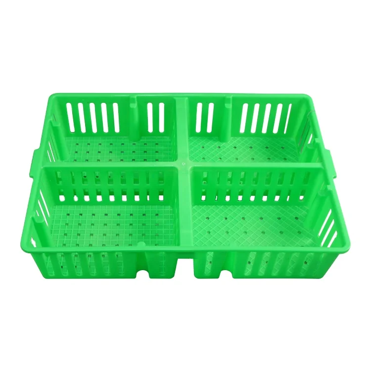 Nestsable and Stackable HDPE Plastic Day Old Chick Transport Box with 4 Compartments