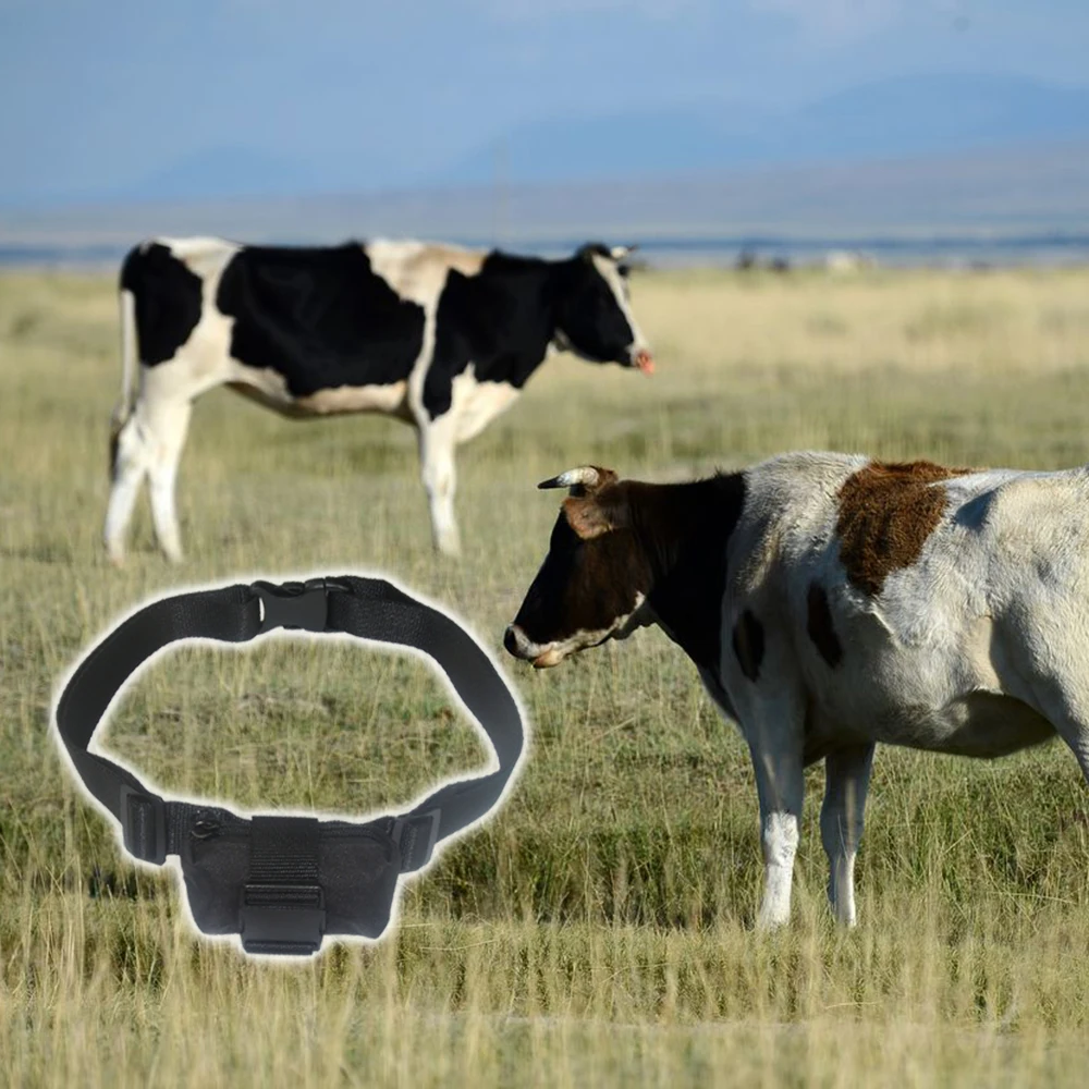 Waterproof Big Battery Long Lasting GPS tracker for Horse Cow Camel Cattle Farm Livestock and Wild Animals
