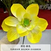Lotus Yellow