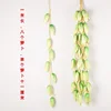 8 white radishes, 1 meter long