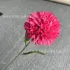 Bola de cristal única