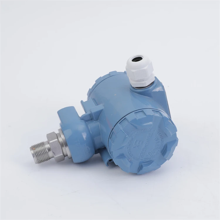 Sanitary Diaphragm Double Sealed Gauge Pressure Transmitter With Date
