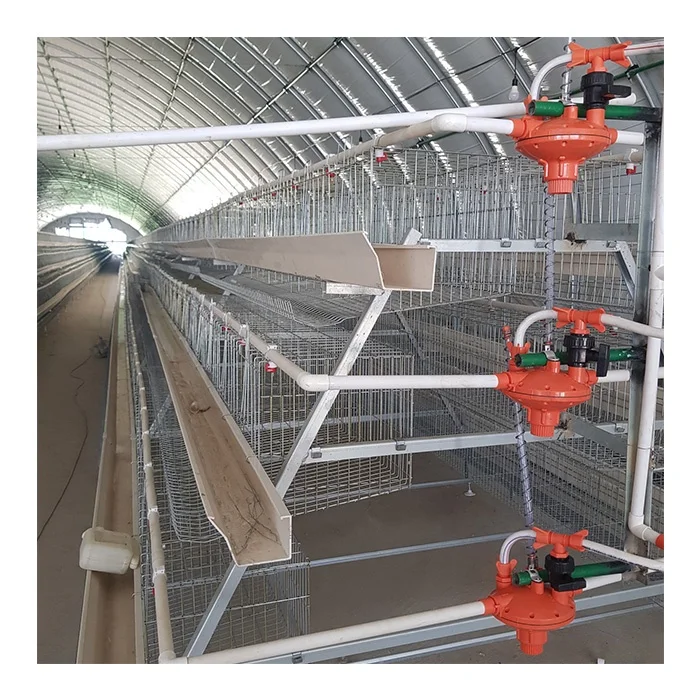 Semi Automatization a Type Automatic Fully Baby Chicken Cage for Sudan Farms