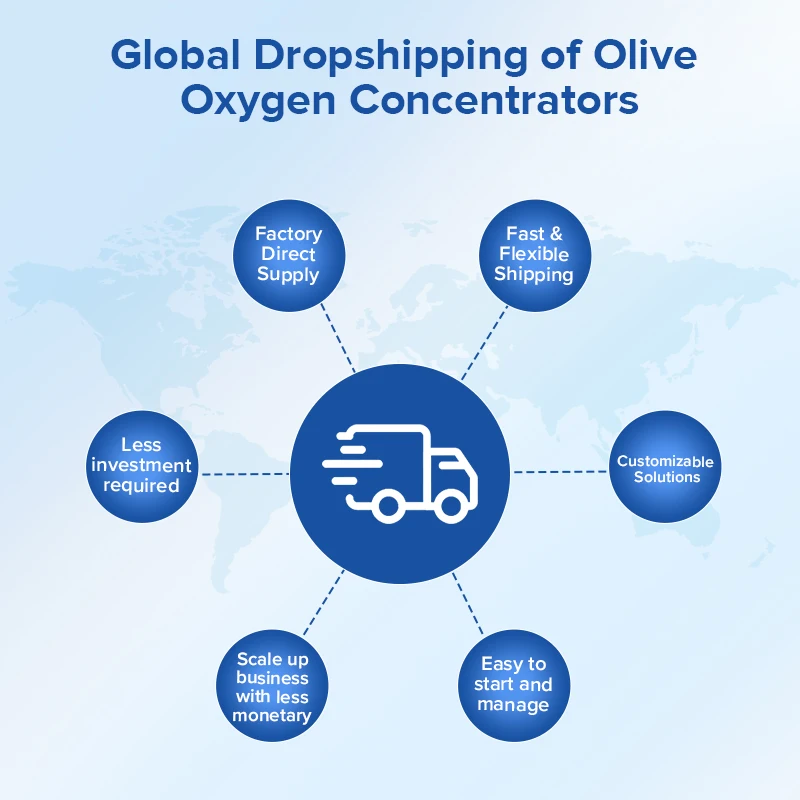 Olive CE Approved Concentrador De Oxigeno Portatil Portable High Flow Oxygen-Concentrator 10l Medical Oxygen Concentrator
