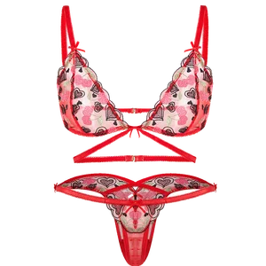 New Listing High-Rise Sexy Wire Free Skin Friendly Love Embroidery Triangle Cup V Transparent Mesh Women Lace Bra Set