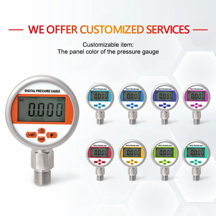 WTsensor 0.5% 1% Accuracy Low Price China Factory  Water Gas Liquid Oil Digital Pressure Gauge Digital