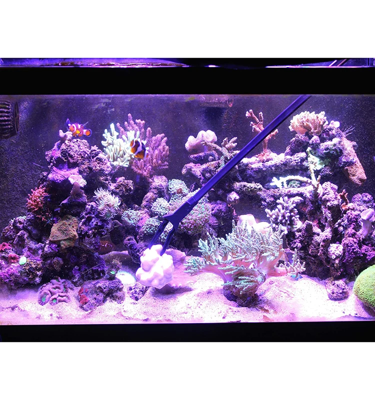 Indoor Outdoor Multi Purpose Fresh Saltwater Fish Tanks Spot Feed Fish