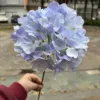 Light Purple Orchid