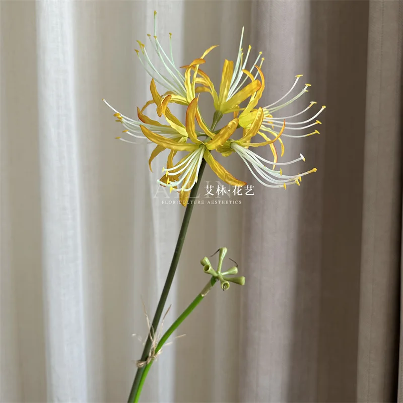 Lycoris.　1028 KENTEX Launches Lycoris Recoil Collaboration Watch – Limited