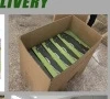  Новый стиль рама из алюминиевого сплава с полипропиленовым покрытием слаломные коньки индивидуальный дизайн оптовая