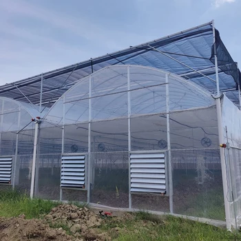 Large Chinese Agricultural Multi-Span Arch Thin Film Greenhouse with Galvanized Steel Tube Polyethylene Cover