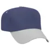 Bleu marine gris