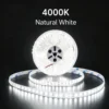 4000K