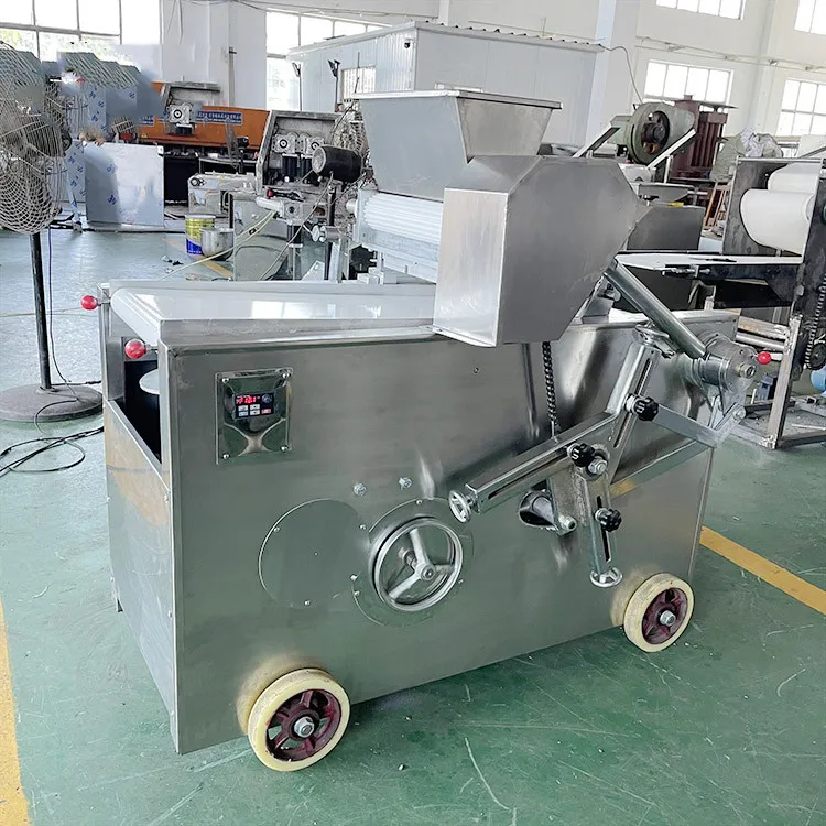 Small Automatic Wire Cutting Chocolate Chip Formatic Soft and Hard Cookie Machine