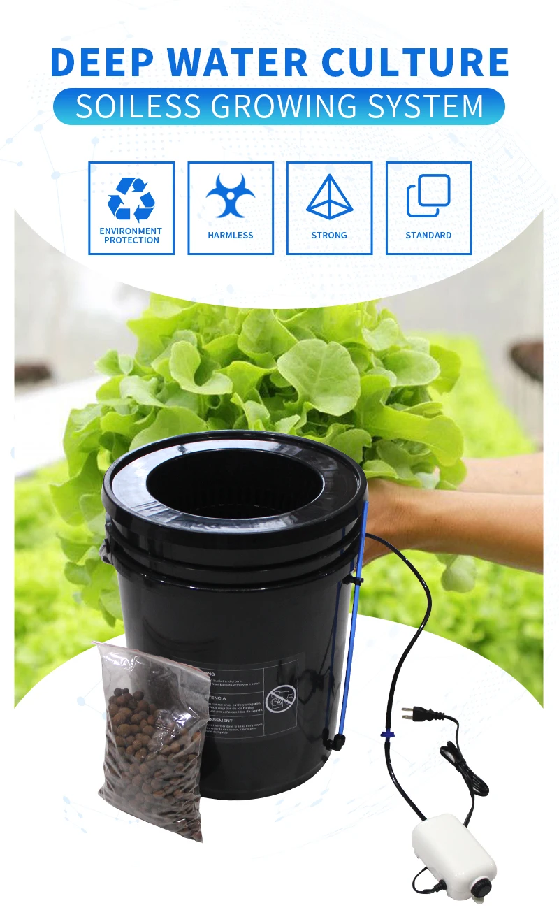 5 Gallon Dwc Bucket Hydroponic System Hydroponic Container Buy Dwc