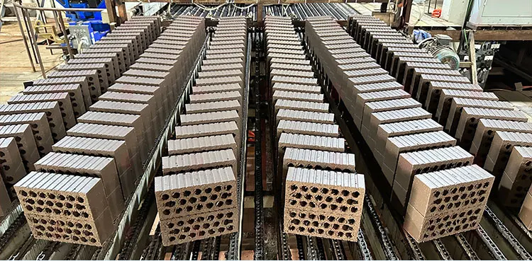 Chain-Board Rapid Drying Equipment.jpg